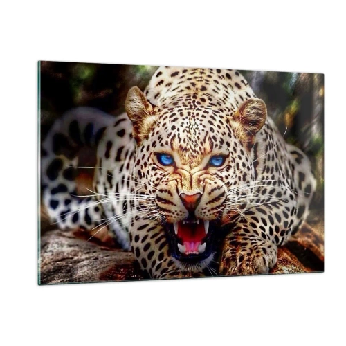 Obraz na szkle - Groźny lampart o niebieskich oczach w dzikiej naturze - 120x80cm - Złość piękności nie szkodzi - Nowoczesna dekoracja ścienna do salonu, kuchni i sypialni ARTTOR