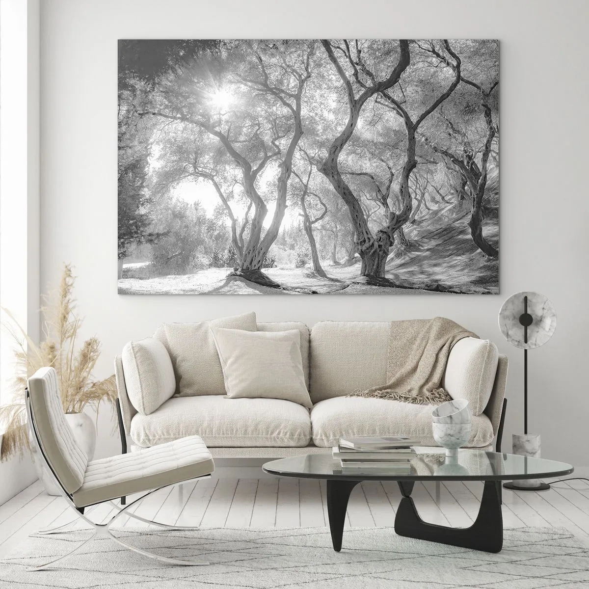 Obraz na szkle - Czarno-białe drzewa oliwne w świetle słonecznym - 70x50cm - W oliwnym gaju - Nowoczesna dekoracja ścienna do salonu i sypialni ARTTOR