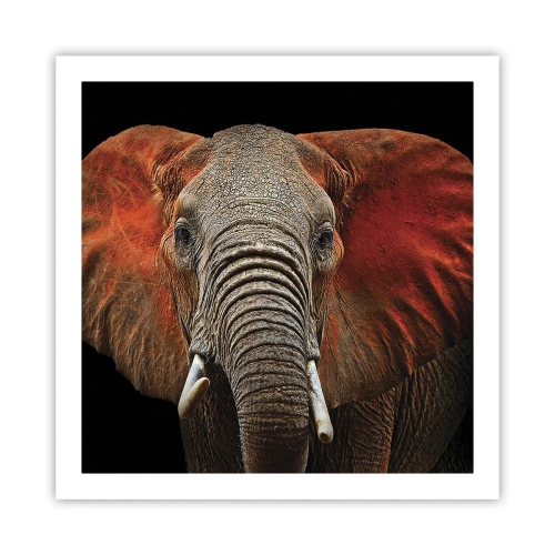 Plakat - Jestem dziki, a ty? - 60x60 cm