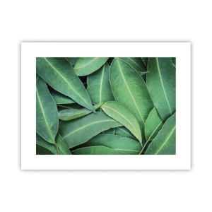 Plakat - Soczyste i świeże - 40x30 cm