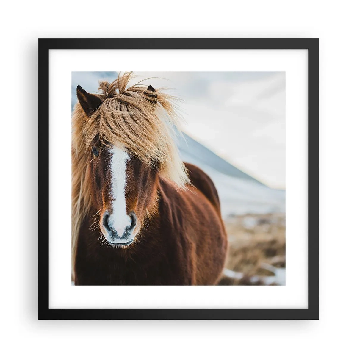 Plakat w czarnej ramie - Czujesz wolność? - 40x40 cm