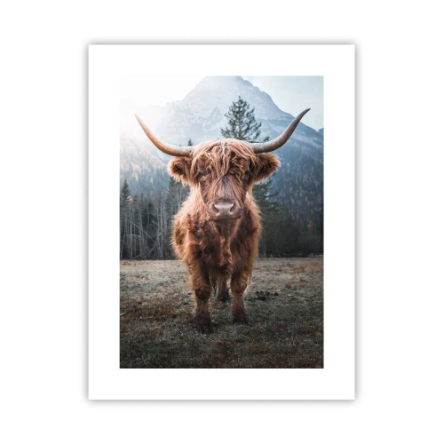 Plakat - Pozdrowienia z górskiej łąki - 30x40 cm