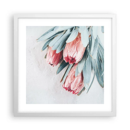 Plakat w białej ramie - Zawstydzone własną urodą - 40x40 cm
