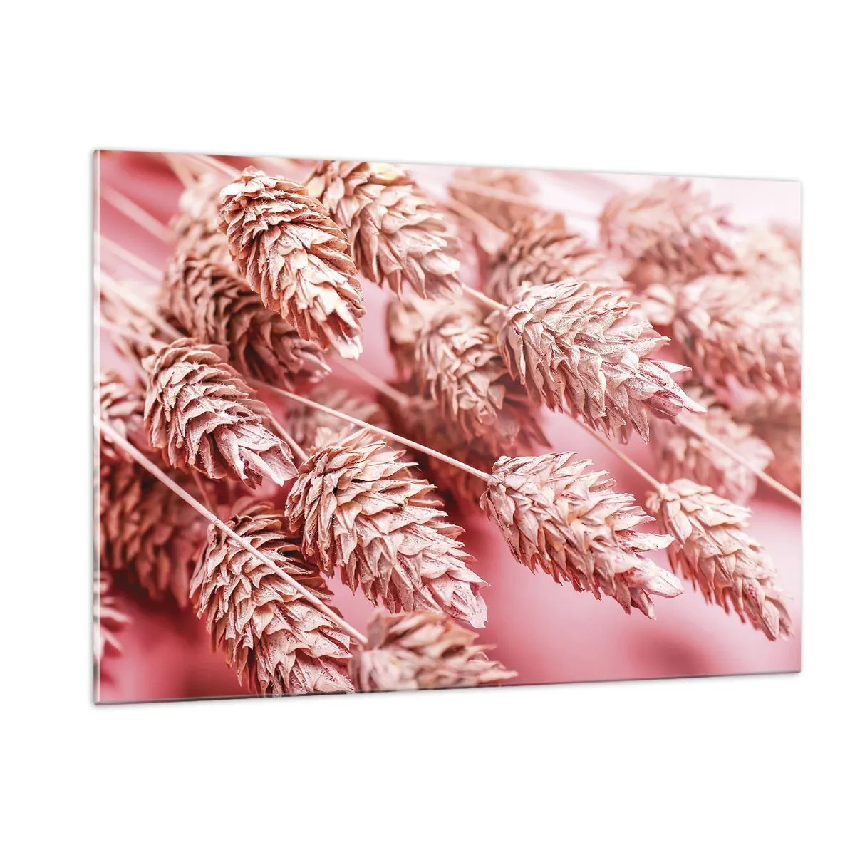 Obraz na szkle - Suszone kłosy w odcieniach różu na pastelowym tle - 120x80cm - Kwietna kaskada w różu - Nowoczesna dekoracja ścienna do salonu, kuchni i sypialni ARTTOR