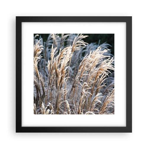 Plakat w czarnej ramie - Szronem ustrojone - 30x30 cm