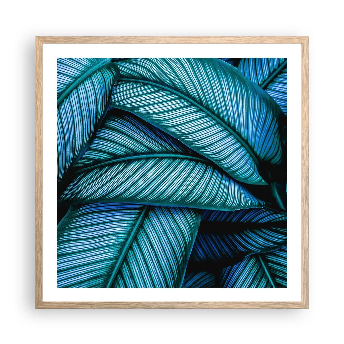 Plakat w ramie jasny dąb - Linie życia - 60x60 cm