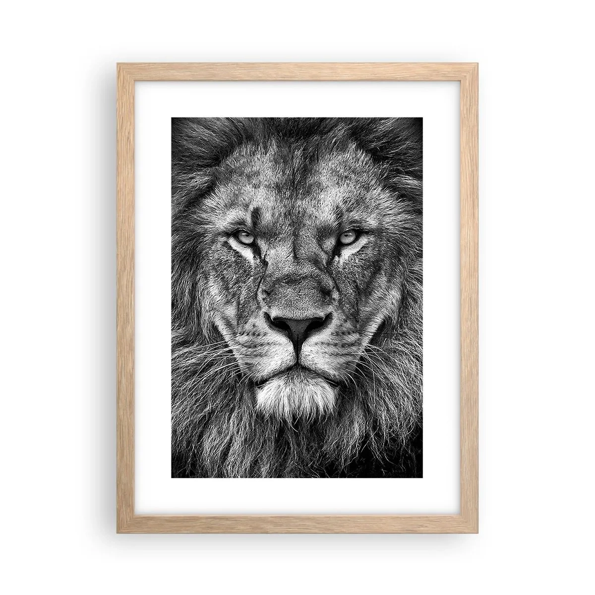 Plakat w ramie jasny dąb - W stroju koronacyjnym - 30x40 cm