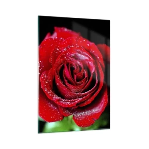 Obraz na szkle - Czerwona róża pokryta kroplami rosy na czarnym tle. - 80x120cm - To właśnie miłość - Nowoczesna dekoracja ścienna do salonu i sypialni ARTTOR