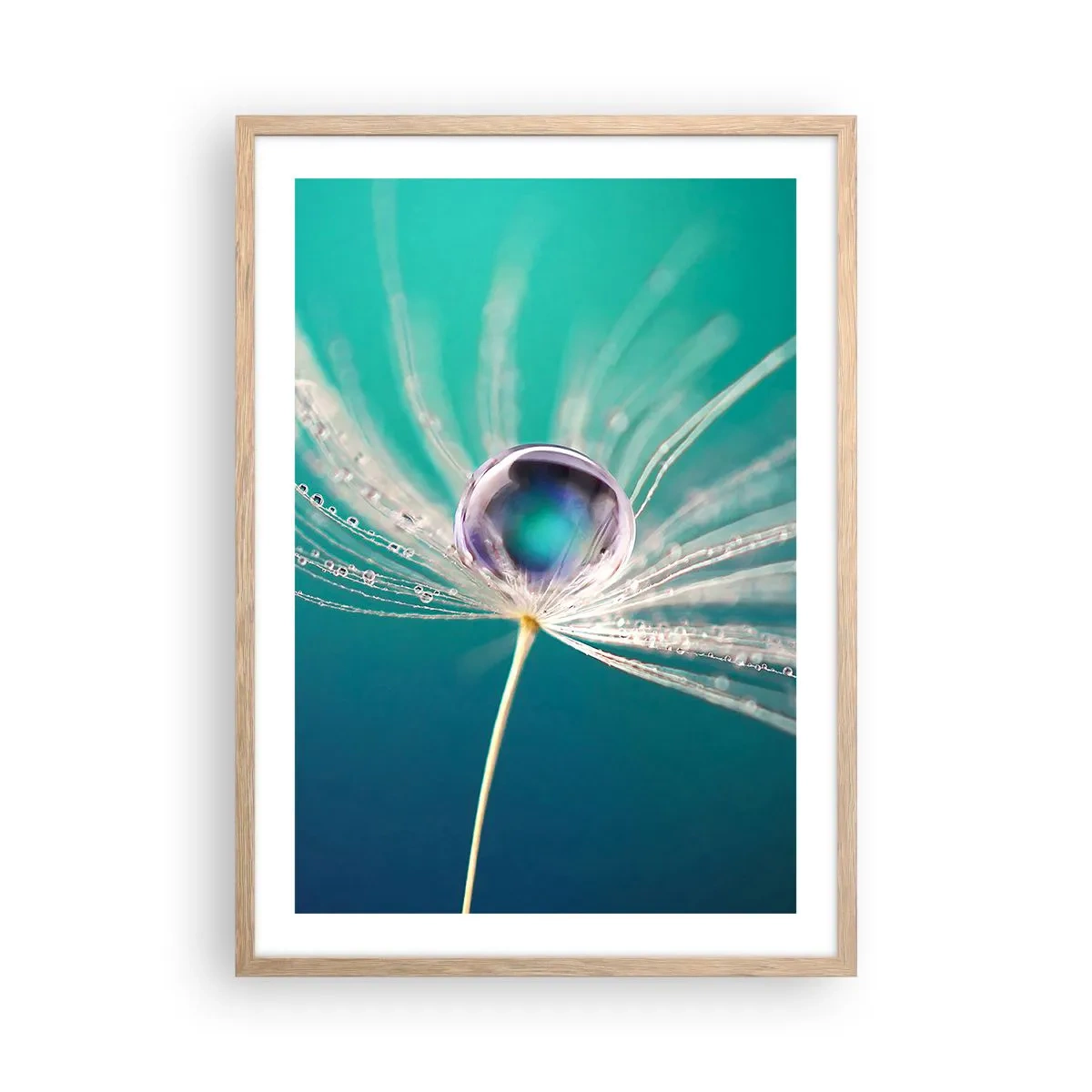 Plakat w ramie jasny dąb - Mistyczna chwila - 50x70 cm