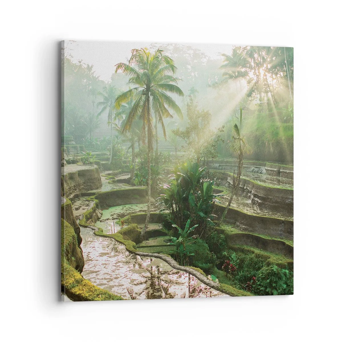 Obraz na płótnie - Dorastać w słońcu - 70x70 cm