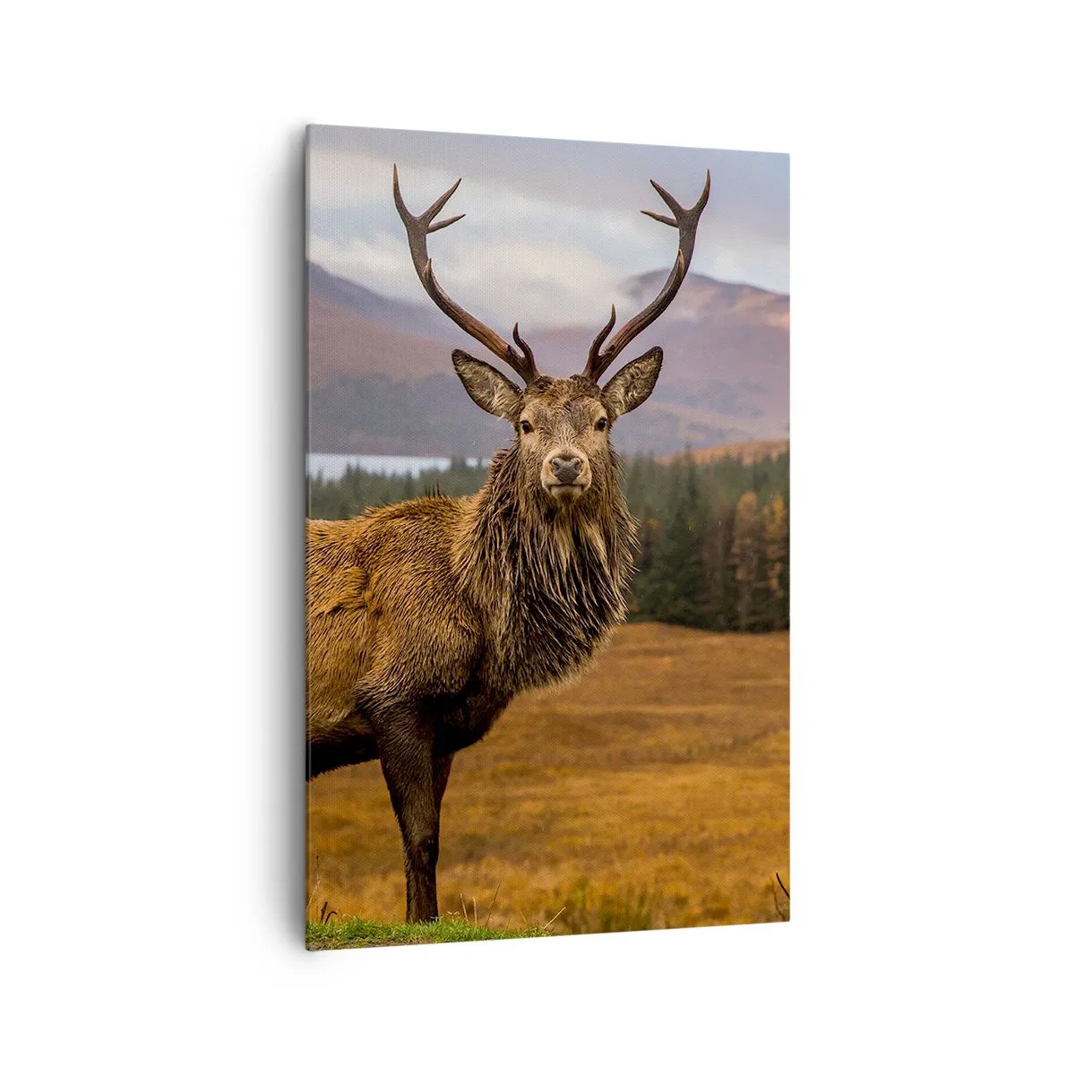 Obraz na płótnie - Jeleń na tle górskiego krajobrazu z jeziorami i lasem - 80x120cm - Majestat natury - Nowoczesna dekoracja ścienna do salonu i sypialni ARTTOR