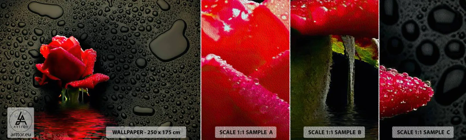 Fototapeta Próbka Premium Sand - Czerwone i czarne - Kwiaty, Róża, Woda - 100x30 cm