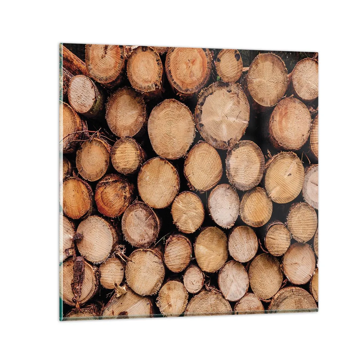 Obraz na szkle - Nowy początek - 30x30 cm