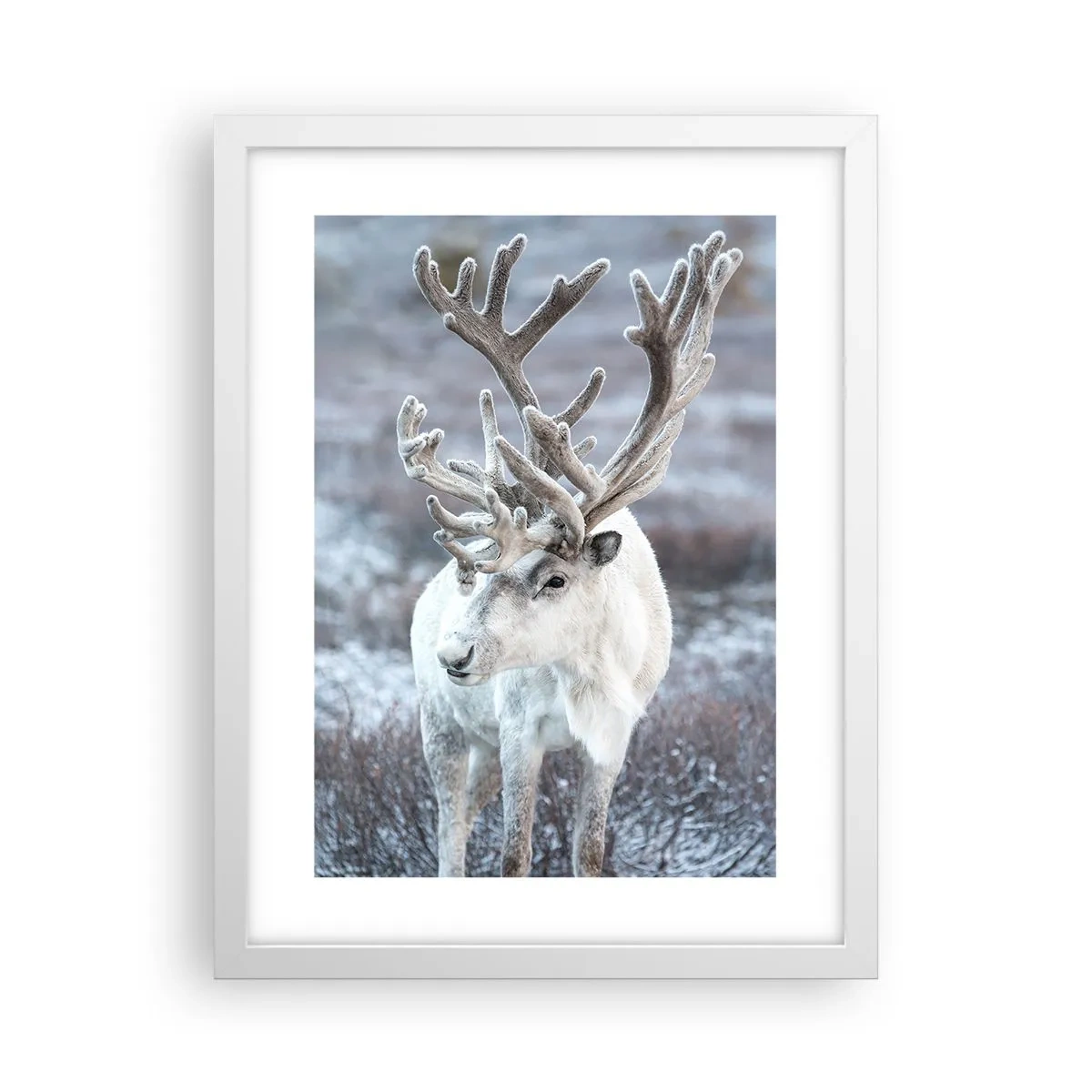 Plakat w białej ramie - Portret w słońcu - 30x40 cm