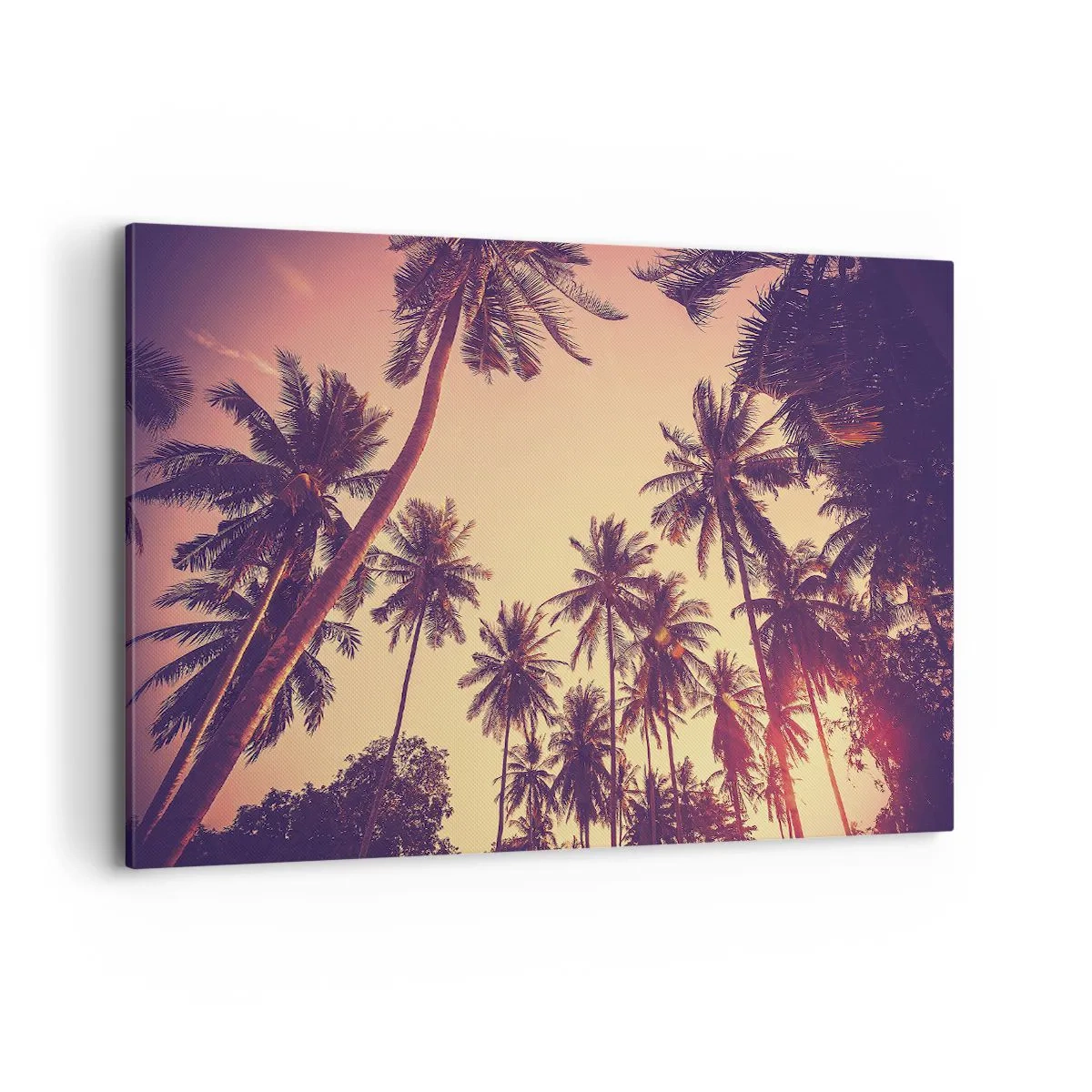 Obraz na płótnie - Palmy na tle nieba o ciepłych barwach zachodu słońca - 120x80cm - Tropikalna wariacja - Nowoczesna dekoracja ścienna do salonu, kuchni i sypialni ARTTOR