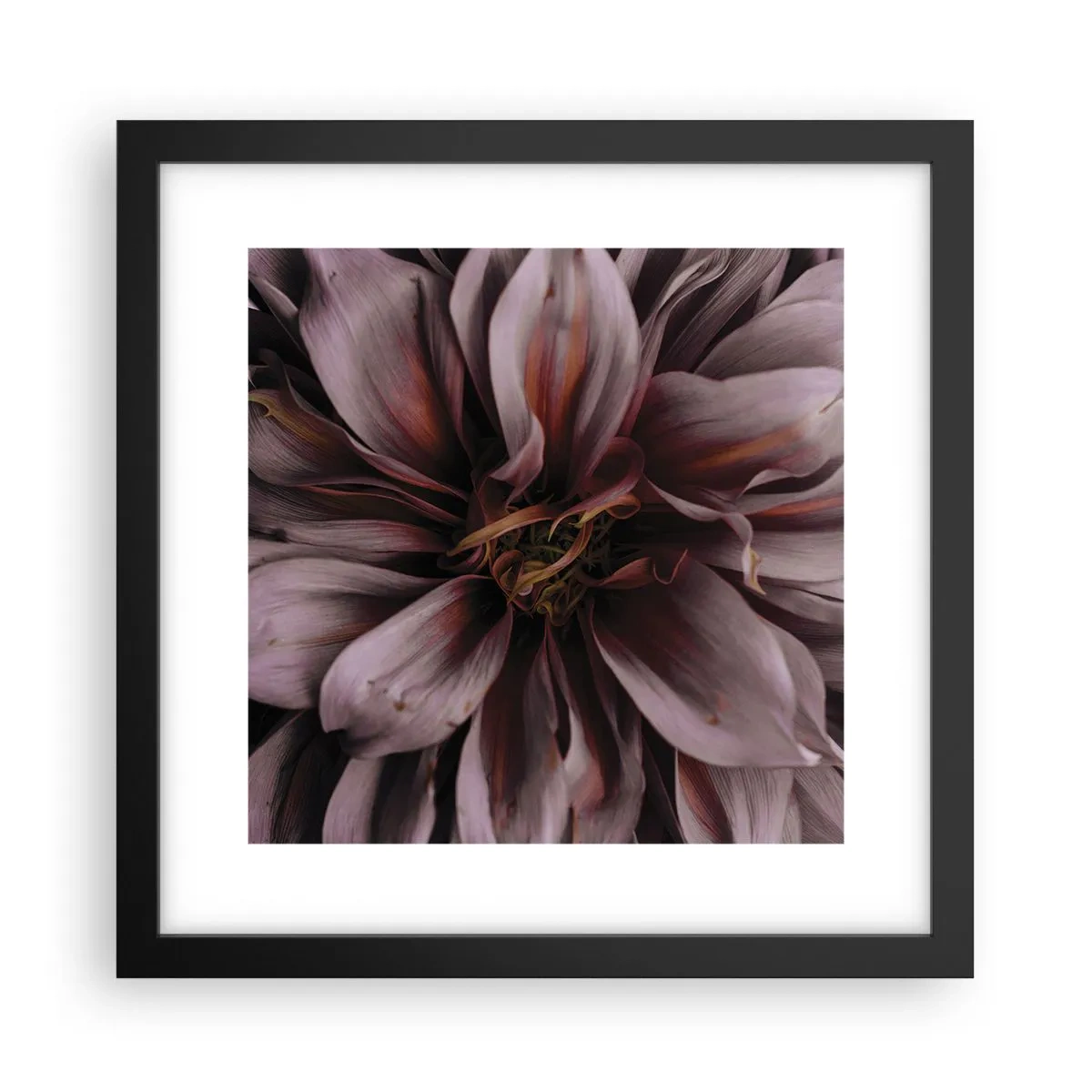 Plakat w czarnej ramie - Kwietne serce - 30x30 cm