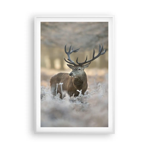 Plakat w białej ramie - Rześki poranek - 61x91 cm