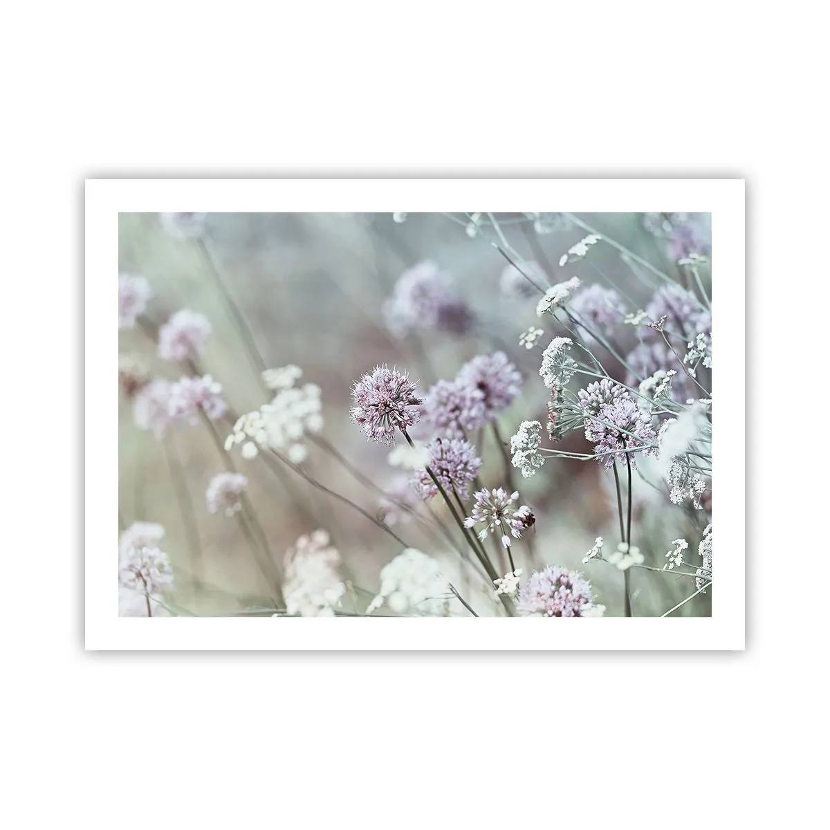 Plakat - Słodkie filigrany ziół - 70x50 cm