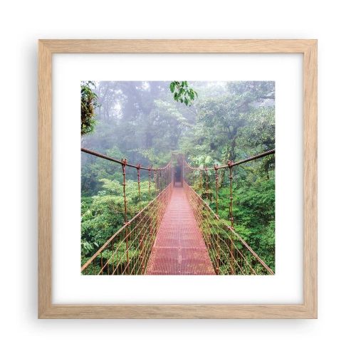 Plakat w ramie jasny dąb - Zawieszony nad koronami - 30x30 cm