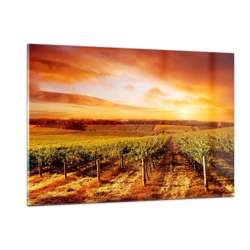 Obraz na szkle - Winorośla na polu o zachodzie słońca - 120x80cm - Delikatnie owocowe z nutą słońca - Nowoczesna dekoracja ścienna do salonu, kuchni i sypialni ARTTOR