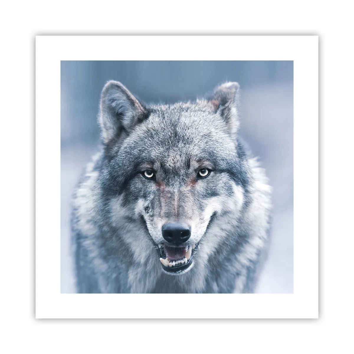 Plakat - Podejmiesz wyzwanie? - 40x40 cm