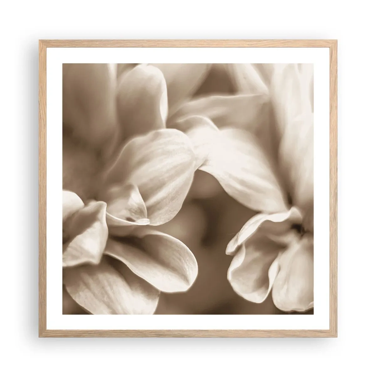 Plakat w ramie jasny dąb - Łagodne jak uśmiech - 60x60 cm