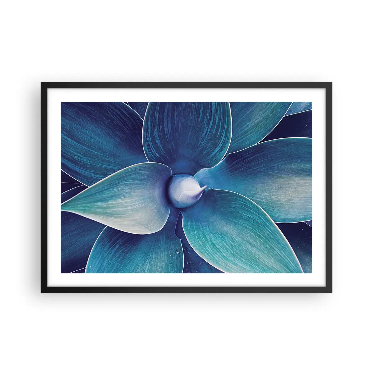 Plakat w czarnej ramie - Zbliżenie na abstrakcyjny kwiat w odcieniach błękitu - 70x50cm - Zbłękitniały od nieba - Nowoczesna dekoracja ścienna do salonu i sypialni ARTTOR