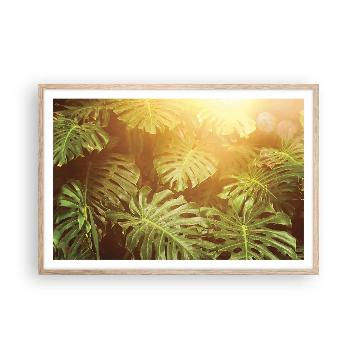 Plakat w ramie jasny dąb - W zieloność wstąpić… - 91x61 cm