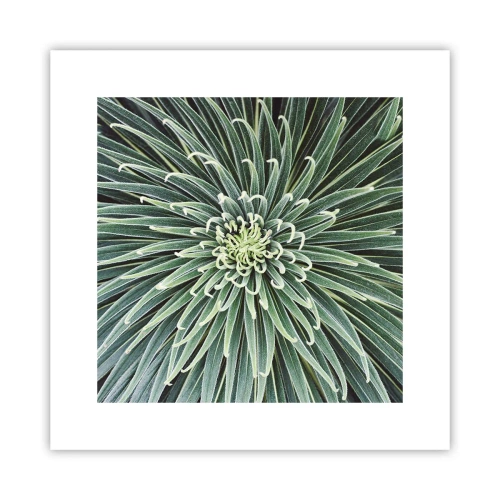 Plakat - Narodziny gwiazdy - 30x30 cm