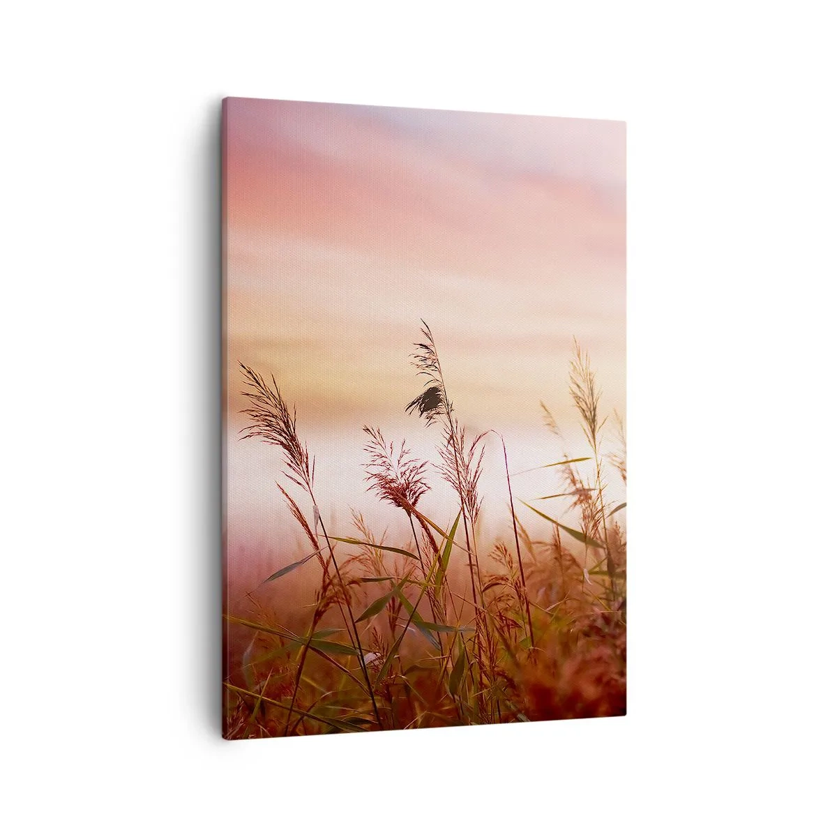 Obraz na płótnie - Delikatne trawy o zachodzie słońca - 50x70cm - Latawce, dmuchawce, wiatr - Nowoczesna dekoracja ścienna do salonu, kuchni i sypialni ARTTOR