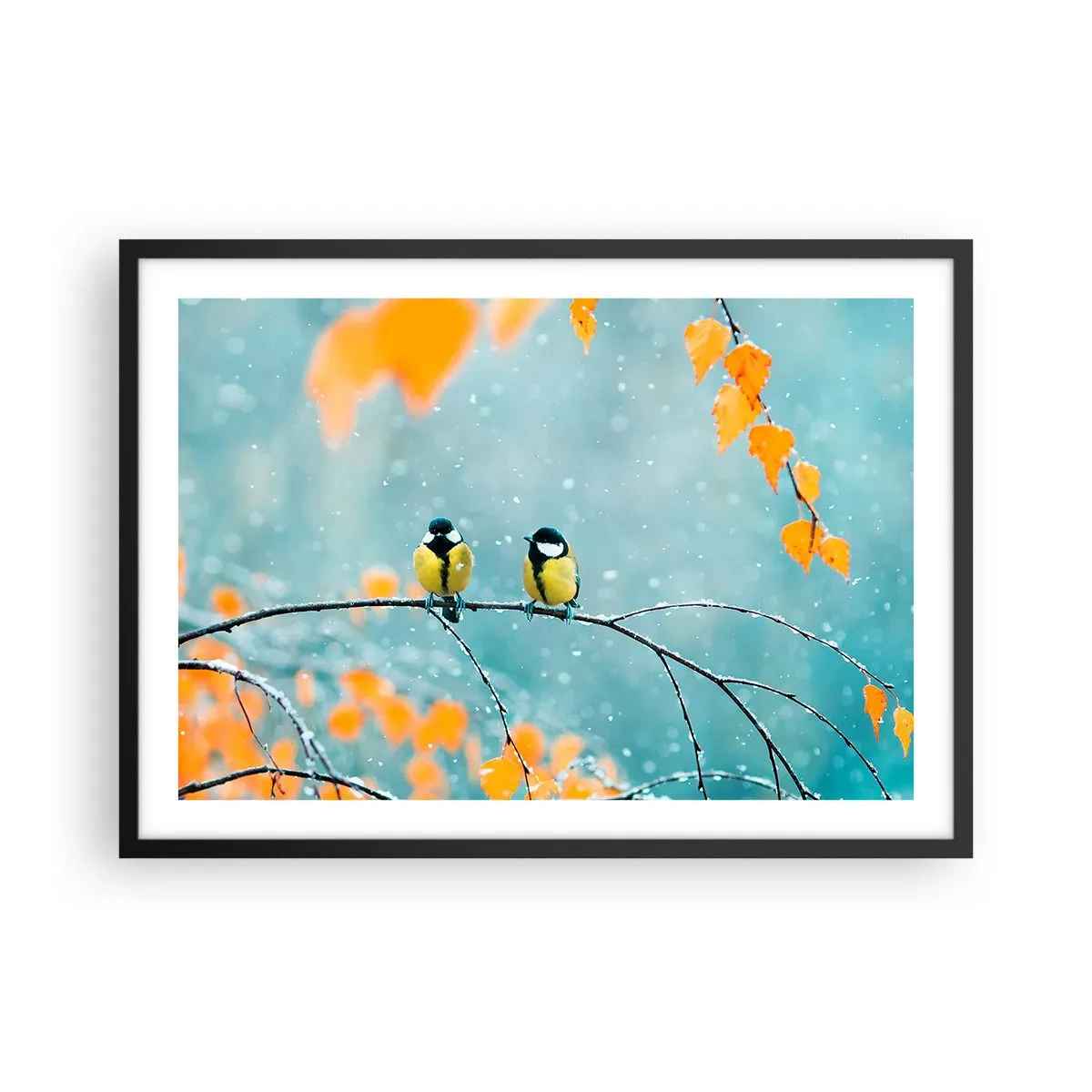Plakat w czarnej ramie - Dwa ptaki na gałęzi w zimowym otoczeniu z żółtymi liśćmi - 70x50cm - Ptasie plotki - Nowoczesna dekoracja ścienna do salonu i sypialni ARTTOR