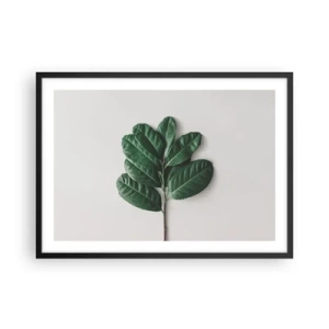 Plakat w czarnej ramie - Gałązka zielonych liści na jasnym tle - 70x50cm - Rysunek samej natury - Nowoczesna dekoracja ścienna do salonu i sypialni ARTTOR