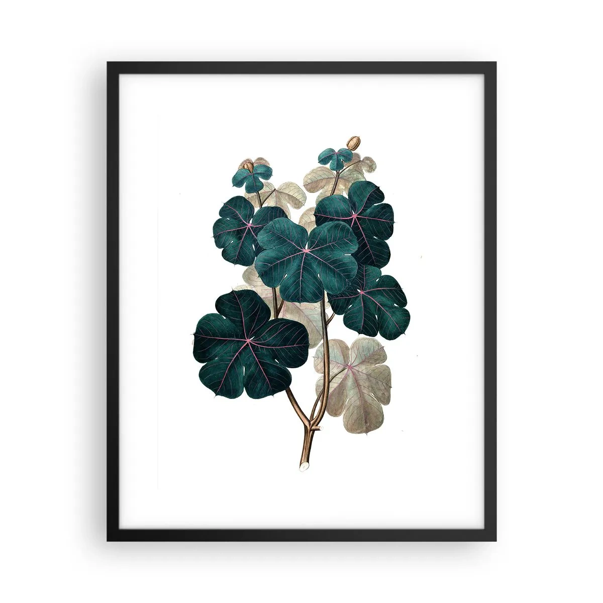 Plakat w czarnej ramie - Ze starego zielnika - 40x50 cm