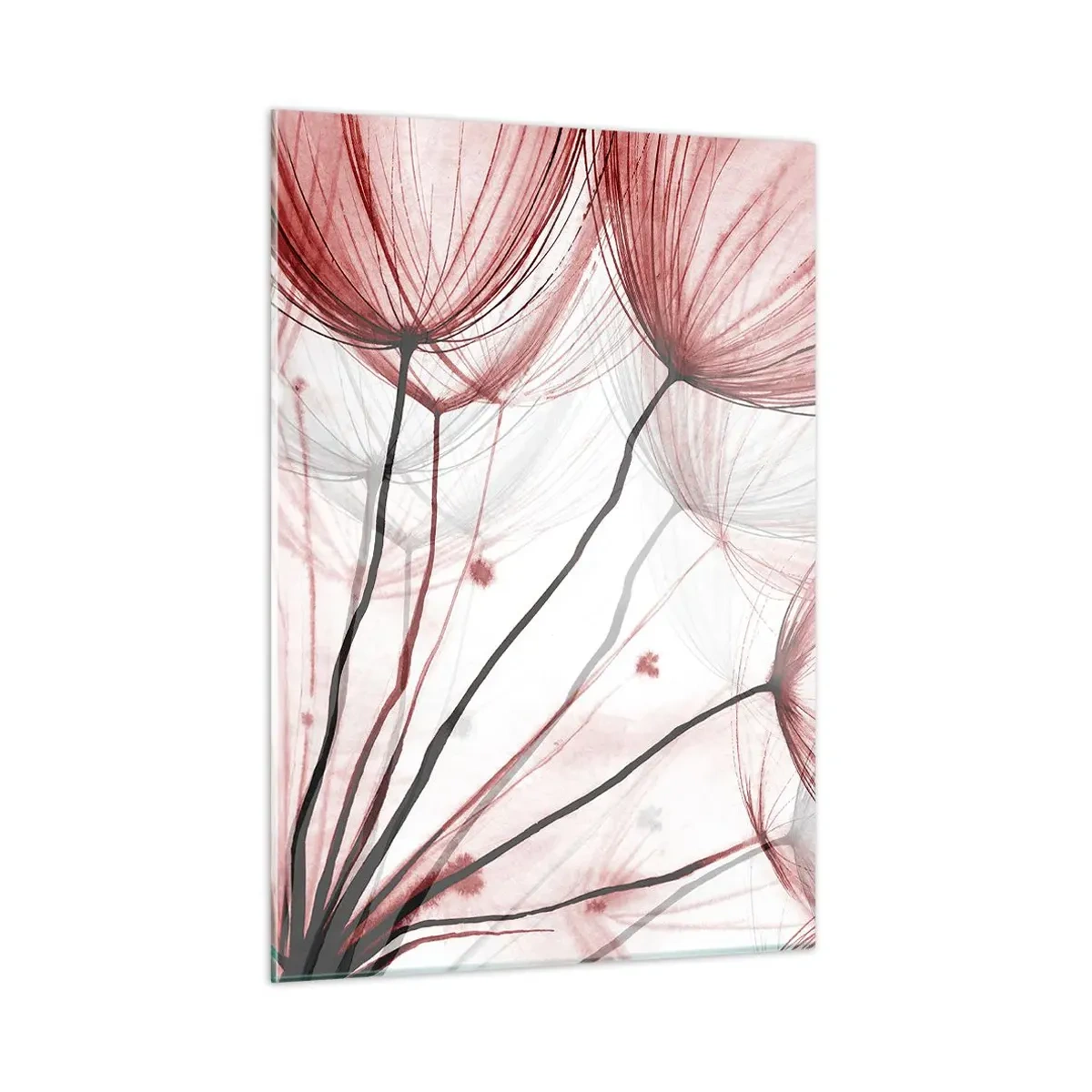 Obraz na szkle - Subtelne dmuchawce w odcieniach różu i czerni - 50x70cm - Przed odlotem - Nowoczesna dekoracja ścienna do salonu, kuchni i sypialni ARTTOR