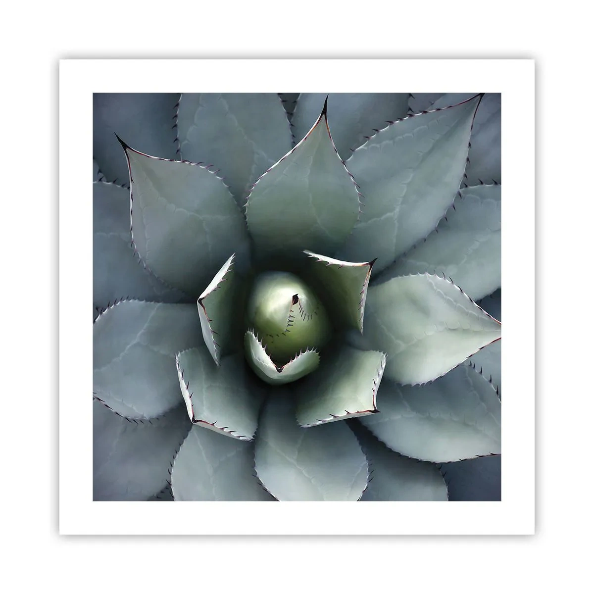 Plakat - Wabi i przestrzega - 50x50 cm