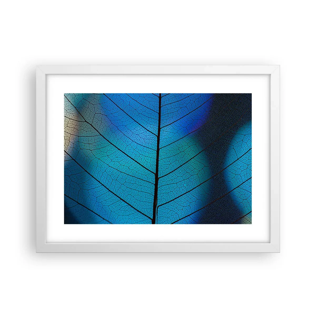 Plakat w białej ramie - Misterna budowa - 40x30 cm