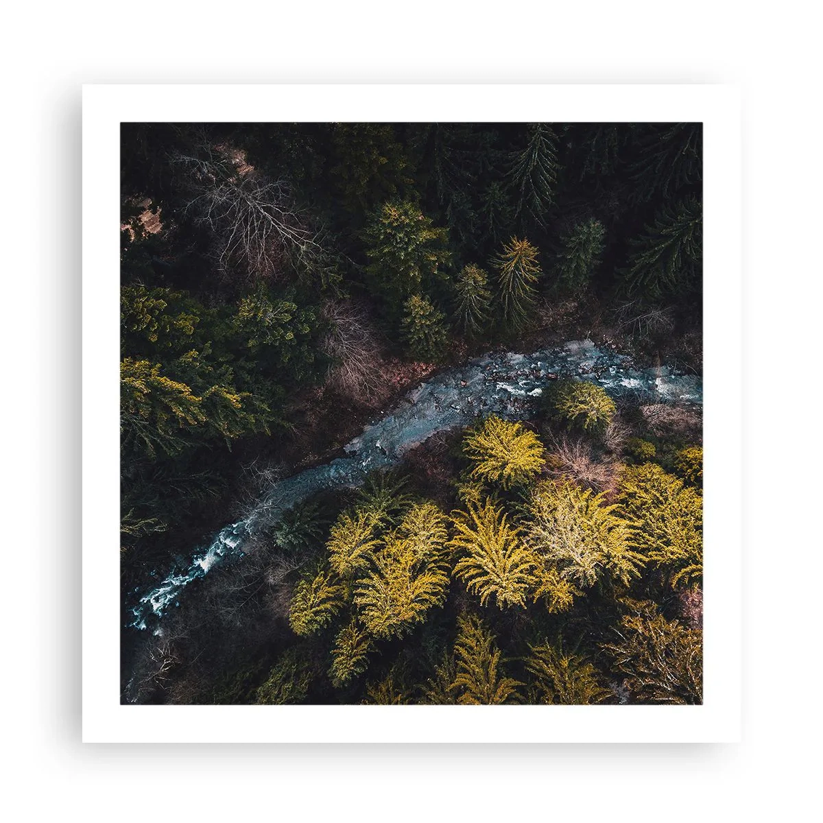 Plakat - Szybko, coraz szybciej - 60x60 cm
