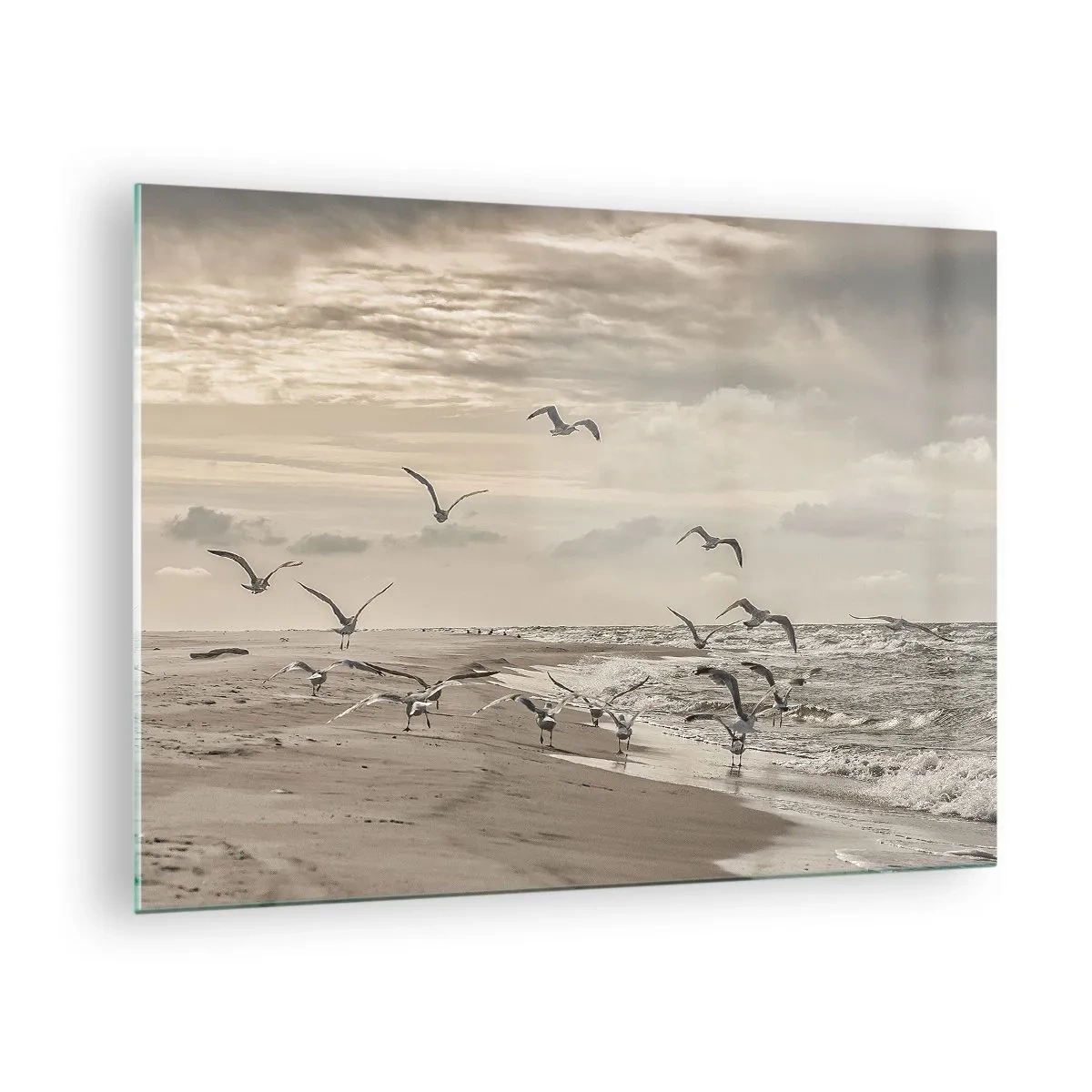 Obraz na szkle - Ptaki nad brzegiem morza o świcie w odcieniach sepii - 70x50cm - Morza szum, ptaków śpiew - Nowoczesna dekoracja ścienna do salonu i sypialni ARTTOR