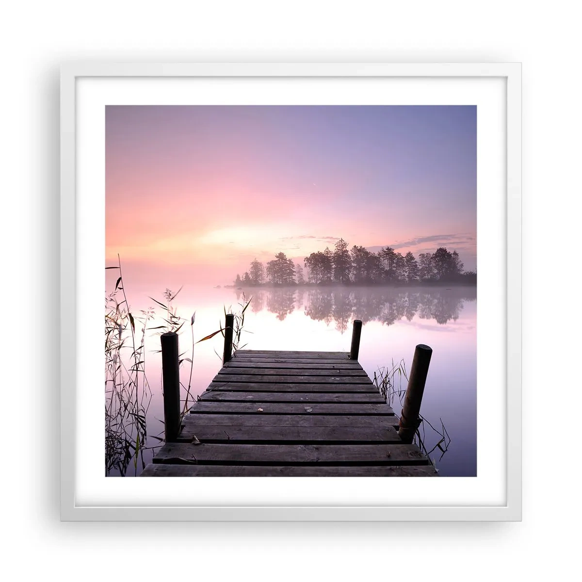 Plakat w białej ramie - Z liliowej mgły... - 50x50 cm