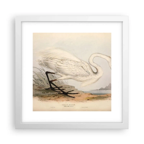 Plakat w białej ramie - Pani na szuwarach - 30x30 cm