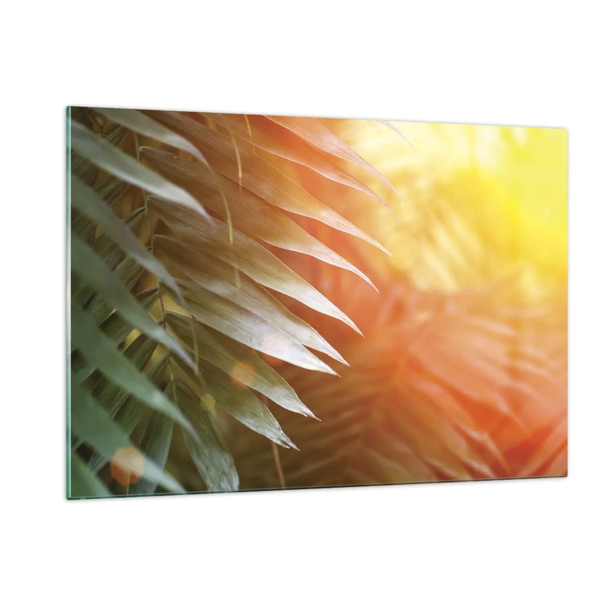 Obraz na szkle - Liście palm w blasku porannego słońca w tropikalnej scenerii - 120x80cm - Poranek w dżungli - Nowoczesna dekoracja ścienna do salonu, kuchni i sypialni ARTTOR