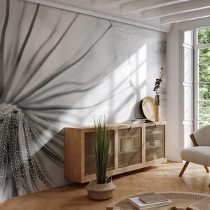 Fototapeta Premium Canvas - Dmuchawce, latawce - Minimalizm, Delikatny, Kwiat - 500x350 cm