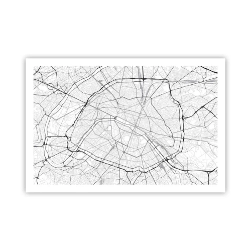 Plakat - Kwiat Paryża - 91x61 cm