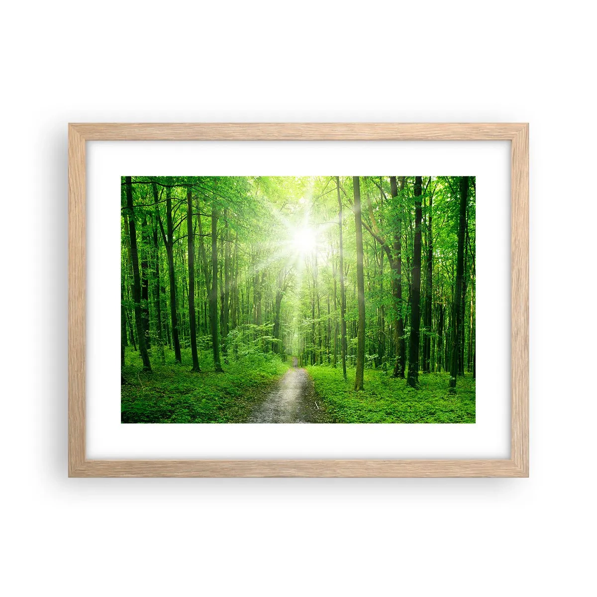 Plakat w ramie jasny dąb - Zielona katedra - 40x30 cm