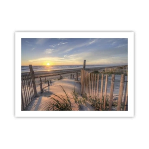 Plakat - Blask i cień wiatru - 70x50 cm