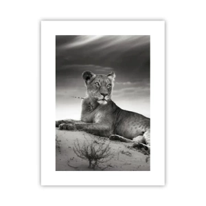 Plakat - Odpoczynek królowej pustyni - 30x40 cm