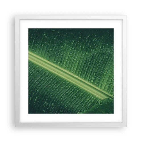 Plakat w białej ramie - Struktura zieleni - 40x40 cm