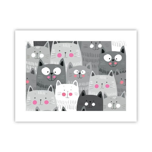 Plakat - Koci świat - 40x30 cm