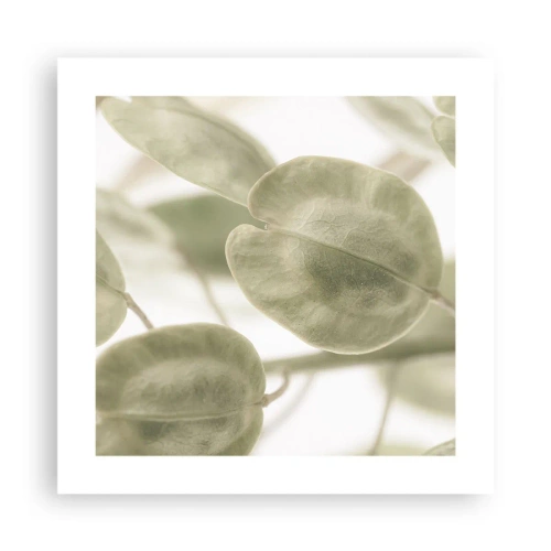 Plakat - Na początku były listki… - 40x40 cm