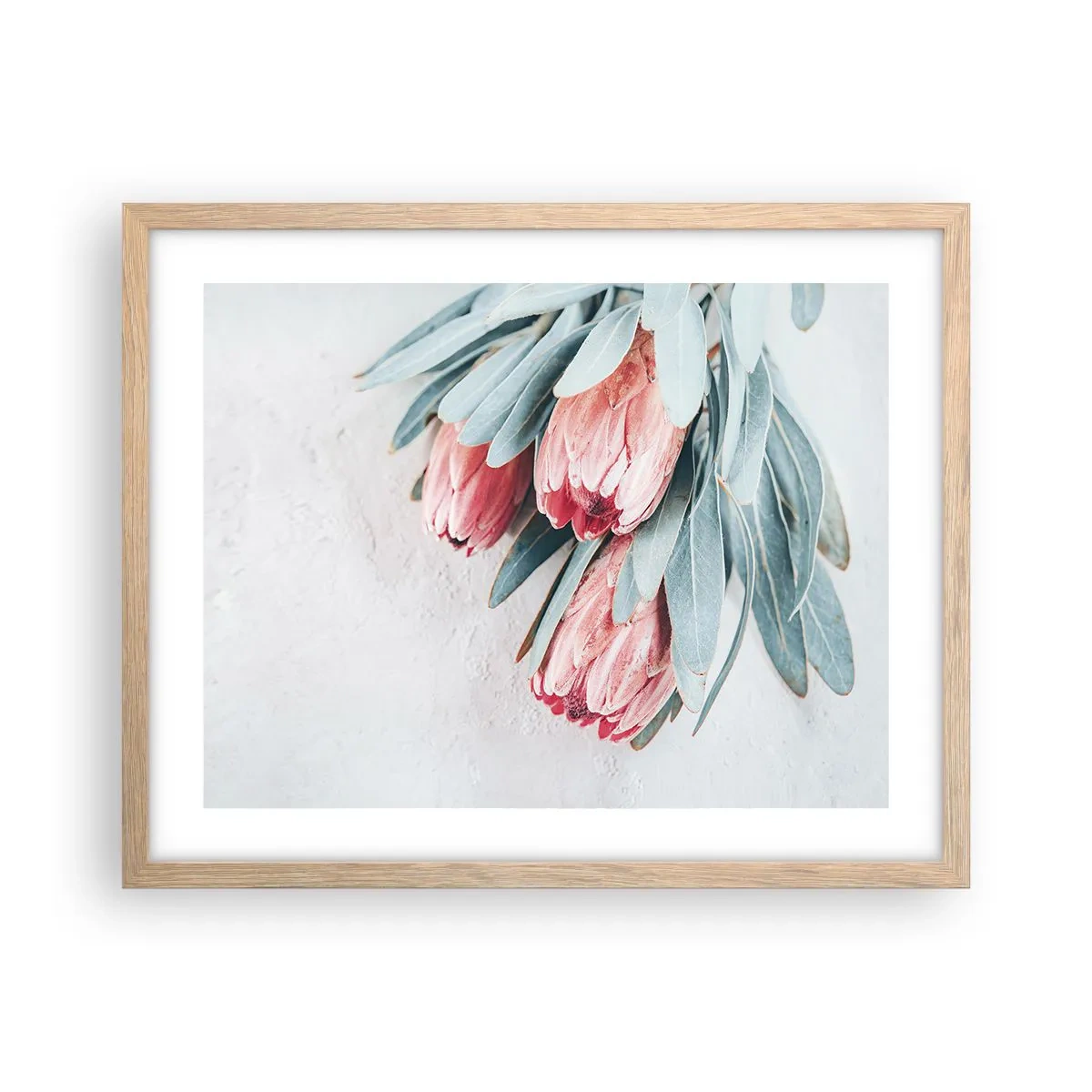 Plakat w ramie jasny dąb - Zawstydzone własną urodą - 50x40 cm